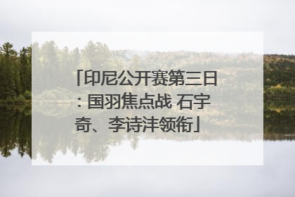 印尼公开赛第三日：国羽焦点战 石宇奇、李诗沣领衔