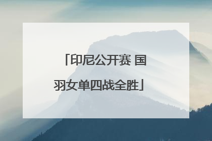 印尼公开赛 国羽女单四战全胜