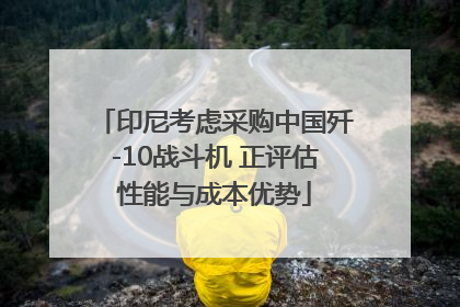 印尼考虑采购中国歼-10战斗机 正评估性能与成本优势