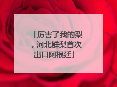 厉害了我的梨，河北鲜梨首次出口阿根廷
