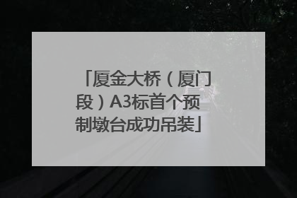 厦金大桥（厦门段）A3标首个预制墩台成功吊装