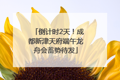 倒计时2天！成都新津天府端午龙舟会蓄势待发