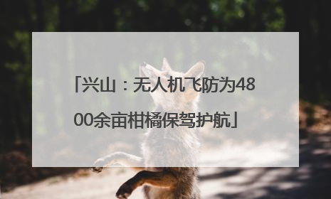 兴山：无人机飞防为4800余亩柑橘保驾护航