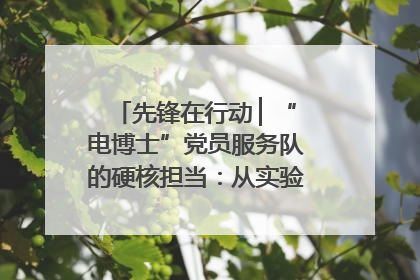 先锋在行动 ▏“电博士”党员服务队的硬核担当：从实验室到抗洪一线
