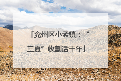 兖州区小孟镇：“三夏”收割话丰年