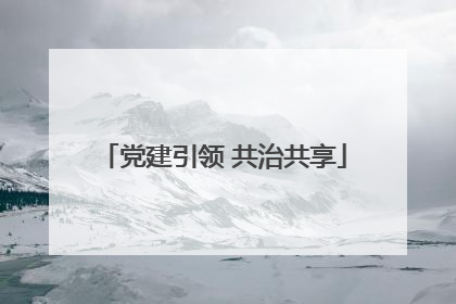 党建引领 共治共享