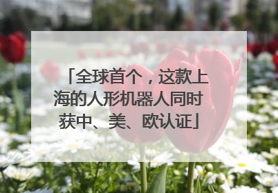 全球首个，这款上海的人形机器人同时获中、美、欧认证