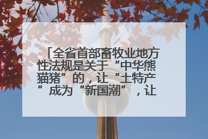 全省首部畜牧业地方性法规是关于“中华熊猫猪”的，让“土特产”成为“新国潮”，让“农产品”升格为“城市IP”