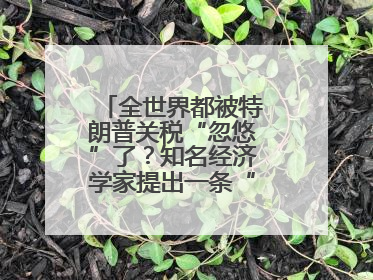 全世界都被特朗普关税“忽悠”了？知名经济学家提出一条“多赢”建议
