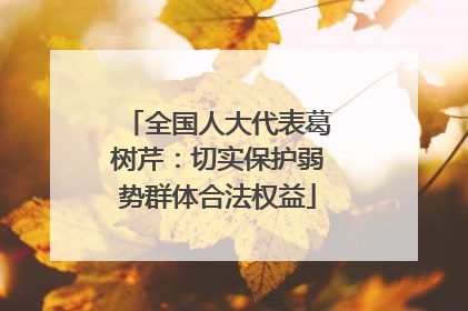 全国人大代表葛树芹：切实保护弱势群体合法权益