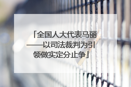 全国人大代表马丽——以司法裁判为引领做实定分止争