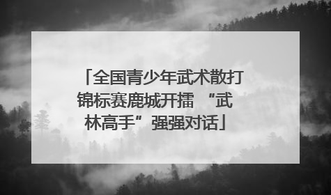 全国青少年武术散打锦标赛鹿城开擂 “武林高手”强强对话