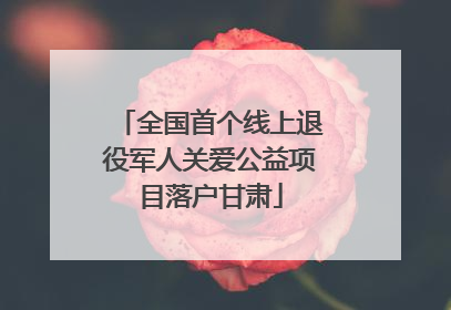 全国首个线上退役军人关爱公益项目落户甘肃
