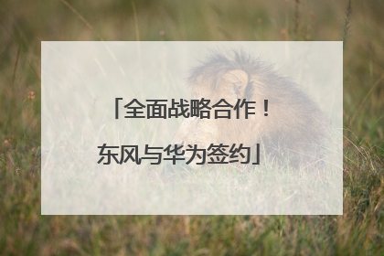 全面战略合作！东风与华为签约