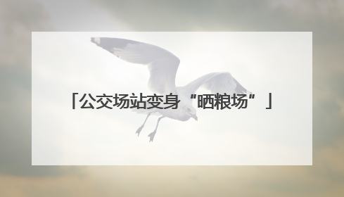 公交场站变身“晒粮场”