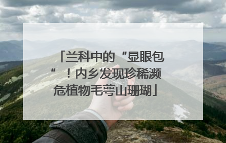 兰科中的“显眼包”！内乡发现珍稀濒危植物毛萼山珊瑚