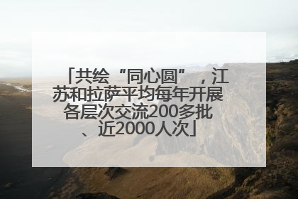 共绘“同心圆”，江苏和拉萨平均每年开展各层次交流200多批、近2000人次