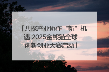 共探产业协作“新”机遇 2025金熊猫全球创新创业大赛启动