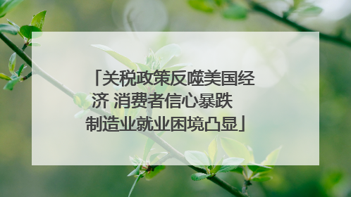 关税政策反噬美国经济 消费者信心暴跌 制造业就业困境凸显