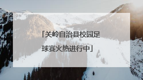 关岭自治县校园足球赛火热进行中