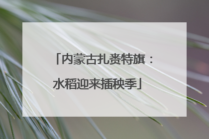 内蒙古扎赉特旗：水稻迎来插秧季