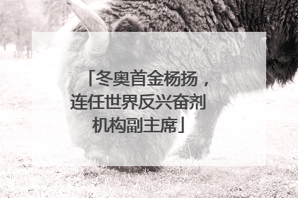 冬奥首金杨扬，连任世界反兴奋剂机构副主席