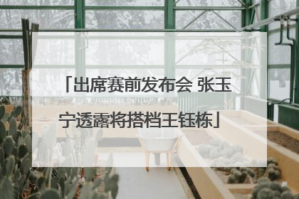出席赛前发布会 张玉宁透露将搭档王钰栋