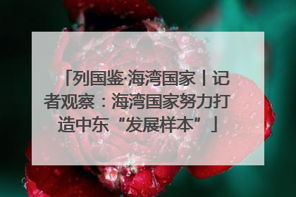 列国鉴·海湾国家丨记者观察：海湾国家努力打造中东“发展样本”