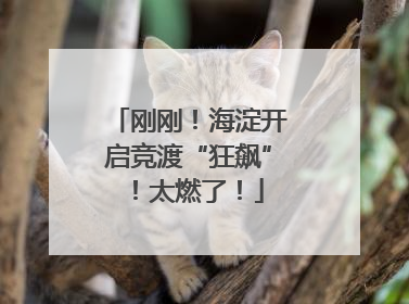 刚刚！海淀开启竞渡“狂飙”！太燃了！