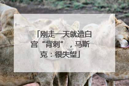 刚走一天就遭白宫“背刺”，马斯克：很失望