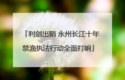 利剑出鞘 永州长江十年禁渔执法行动全面打响