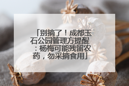 别摘了！成都玉石公园管理方提醒：杨梅可能残留农药，勿采摘食用