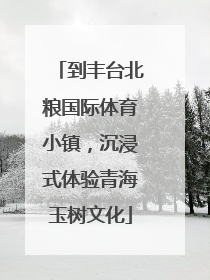 到丰台北粮国际体育小镇，沉浸式体验青海玉树文化