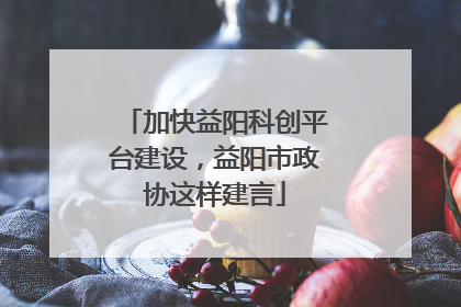 加快益阳科创平台建设，益阳市政协这样建言