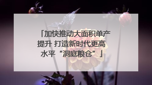 加快推动大面积单产提升 打造新时代更高水平“洞庭粮仓”
