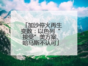 加沙停火再生变数：以色列“接受”美方案、哈马斯不认可