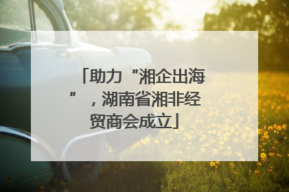 助力“湘企出海”，湖南省湘非经贸商会成立