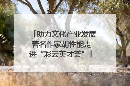 助力文化产业发展 著名作家胡性能走进“彩云英才荟”