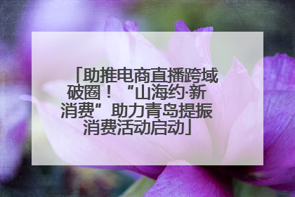 助推电商直播跨域破圈！“山海约·新消费”助力青岛提振消费活动启动