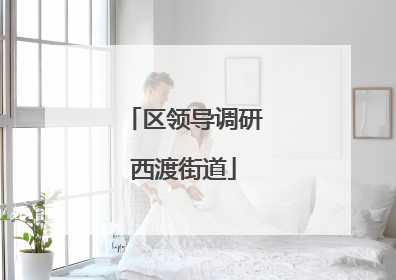 区领导调研西渡街道