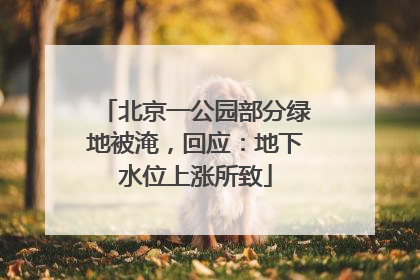 北京一公园部分绿地被淹，回应：地下水位上涨所致
