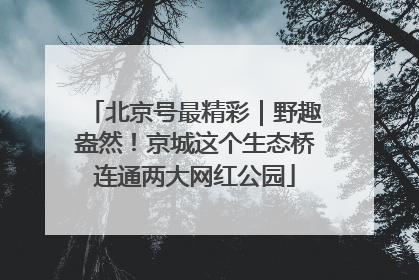 北京号最精彩｜野趣盎然！京城这个生态桥连通两大网红公园