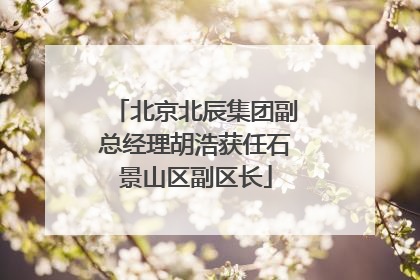北京北辰集团副总经理胡浩获任石景山区副区长