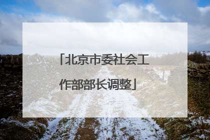 北京市委社会工作部部长调整