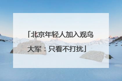 北京年轻人加入观鸟大军：只看不打扰
