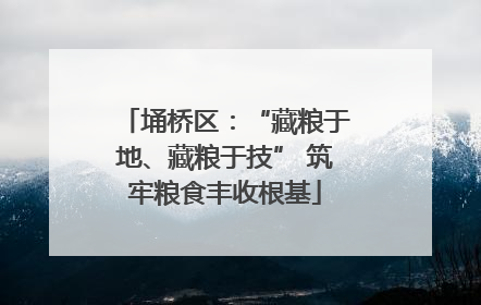 埇桥区：“藏粮于地、藏粮于技” 筑牢粮食丰收根基