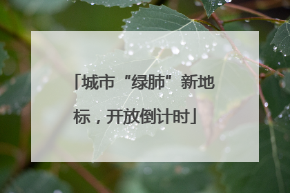 城市“绿肺”新地标，开放倒计时
