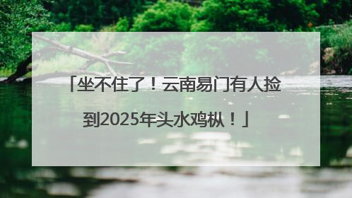 坐不住了！云南易门有人捡到2025年头水鸡枞！