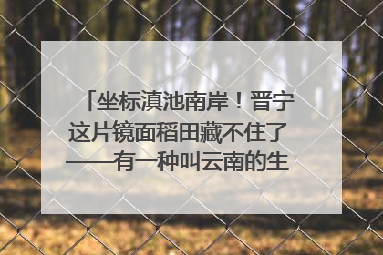 坐标滇池南岸！晋宁这片镜面稻田藏不住了——有一种叫云南的生活之365天