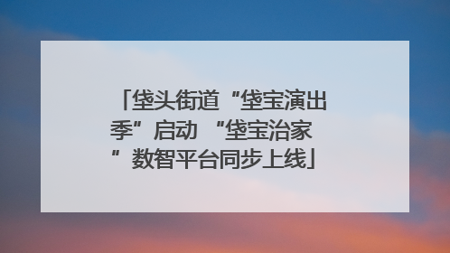 垡头街道“垡宝演出季”启动 “垡宝治家”数智平台同步上线